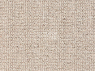 Ковролин Balta Brazil 640 фото 1 | FLOORDEALER